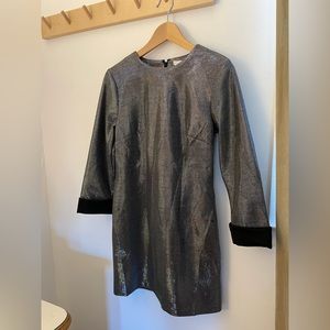 Shimmery Cocktail Dress